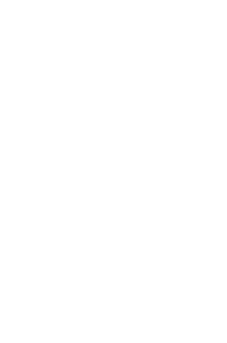 The DEWOR crest